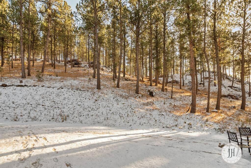 Elk Ridge Fire Place Custer Exterior photo